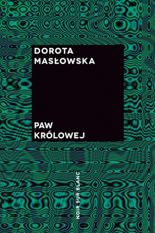 Paw królowej