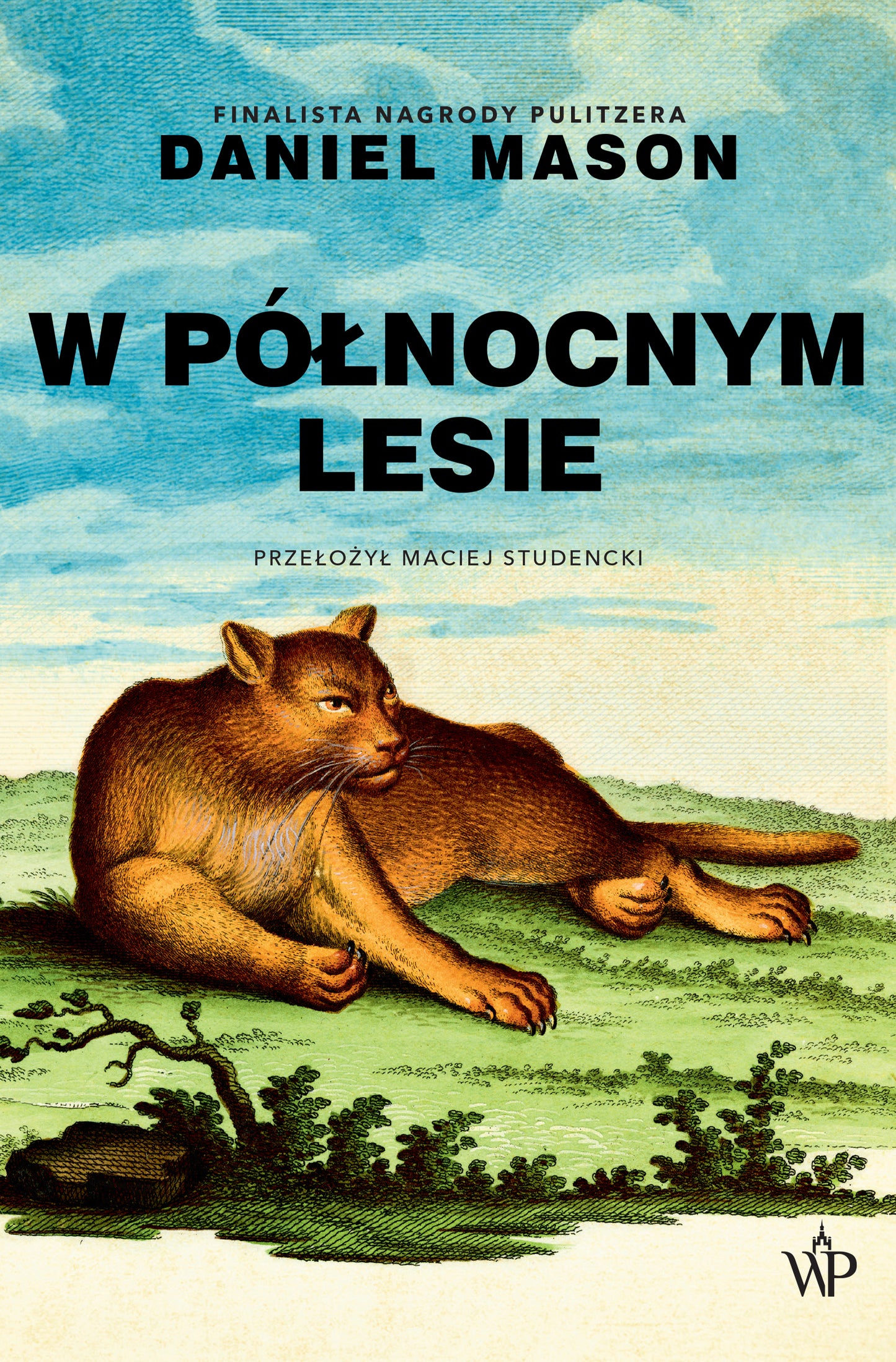 W północnym lesie