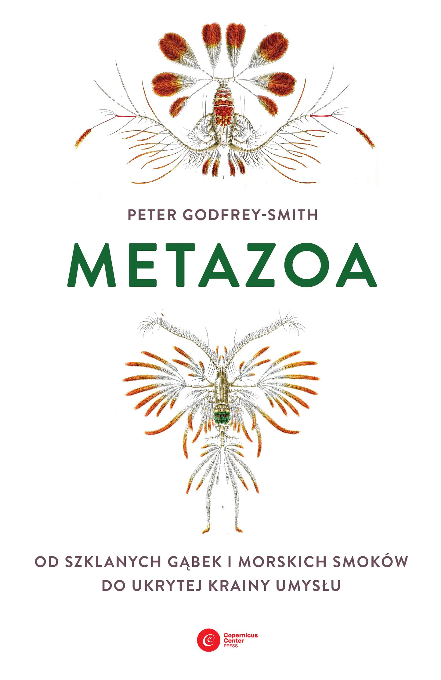 Metazoa