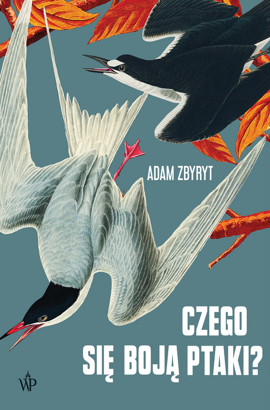 Czego się boją ptaki