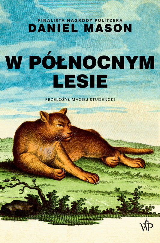 W północnym lesie